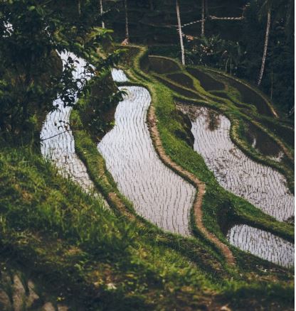 Watering systems in Bali