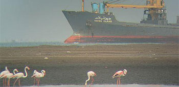 Flamingos and ship.