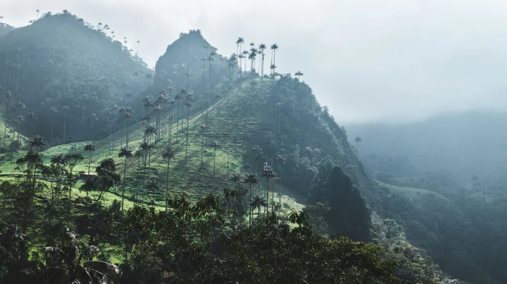 Mountains