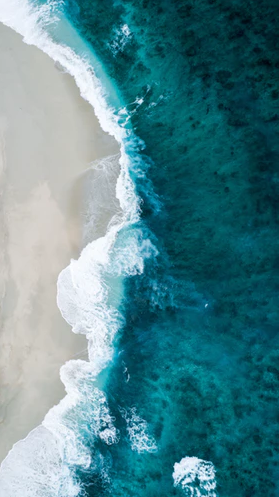 Ocean