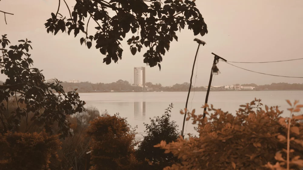 Nile river, trees, city