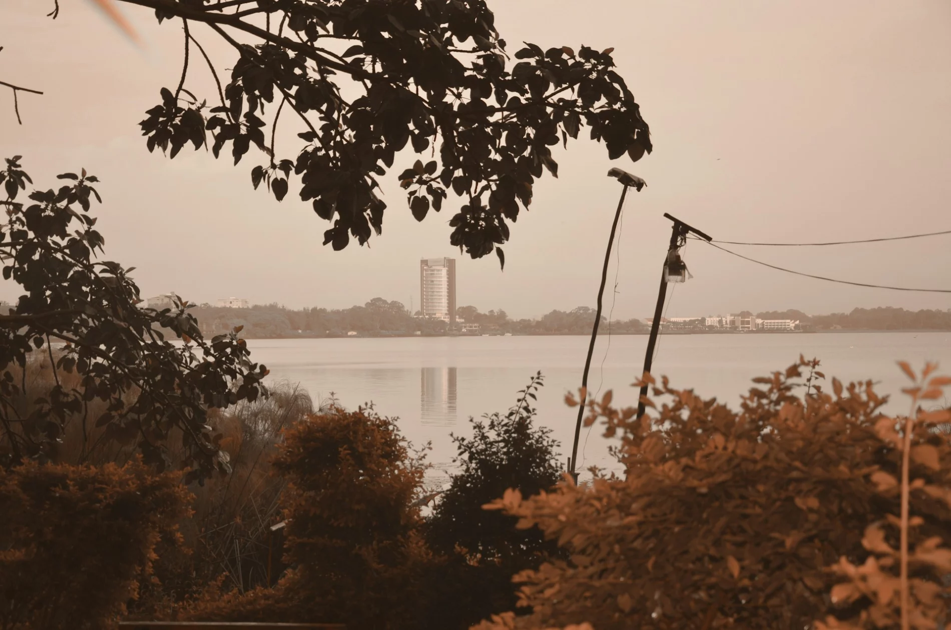 Nile river, trees, city