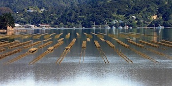 Water with small structures