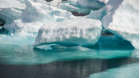 Iceberg