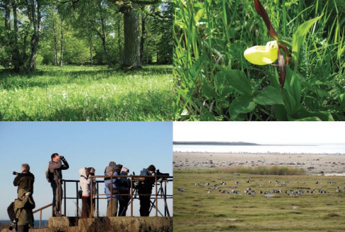 Multilateral biodiversity
