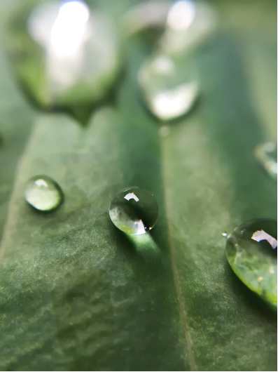 Water droplets