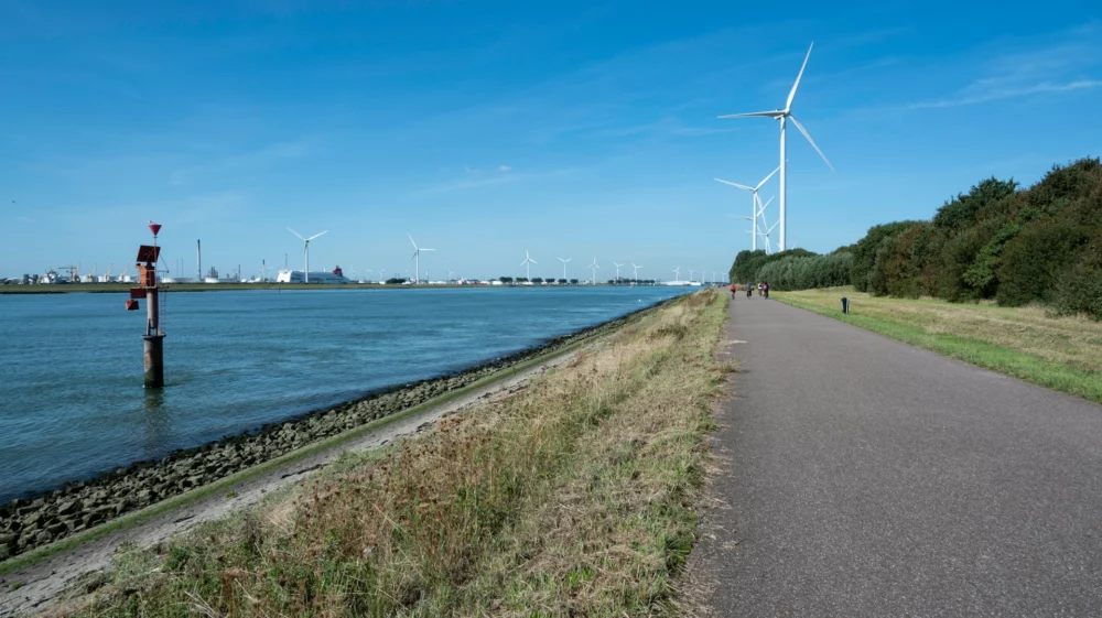 wind mills