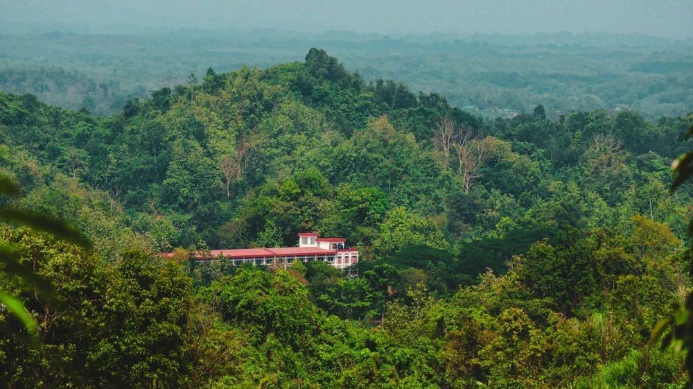 green hillside