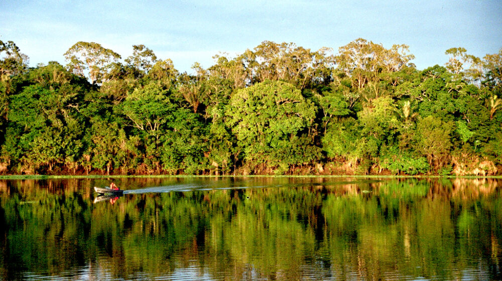 Amazon, Brazil