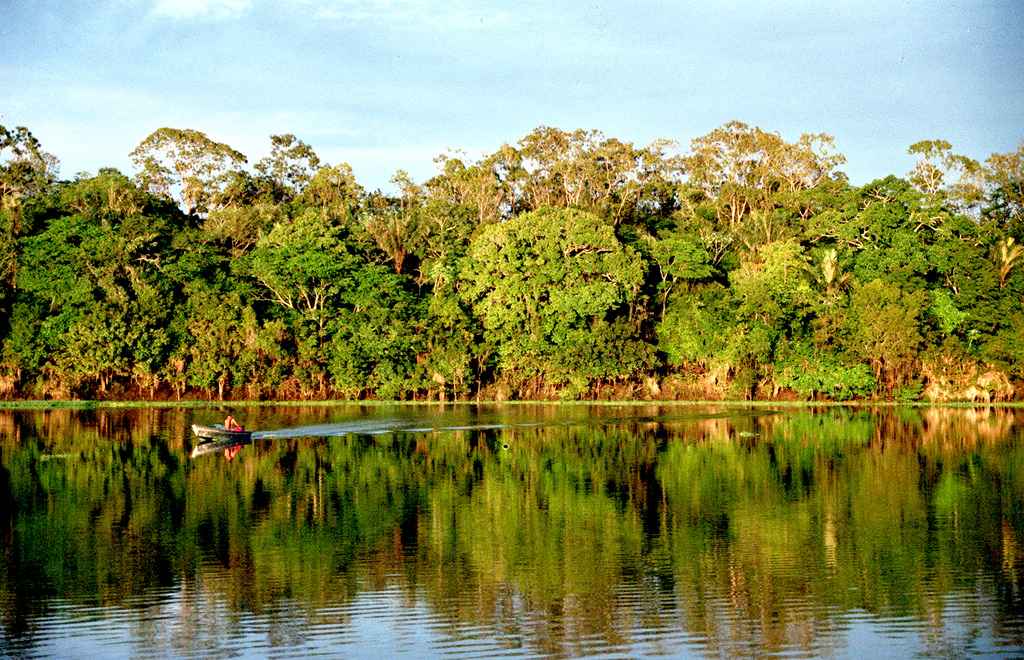 Amazon, Brazil