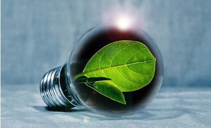 Leaves in a lightbulb