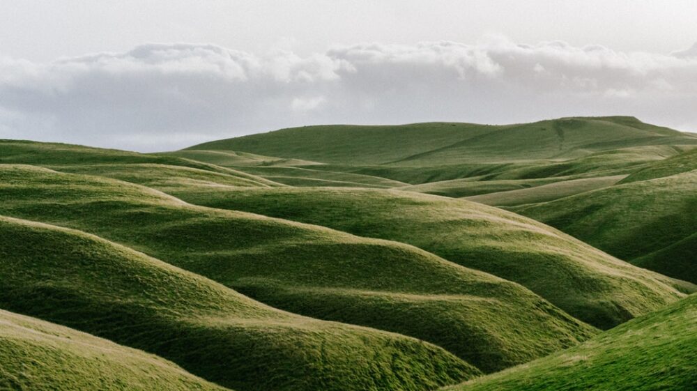 Green hills