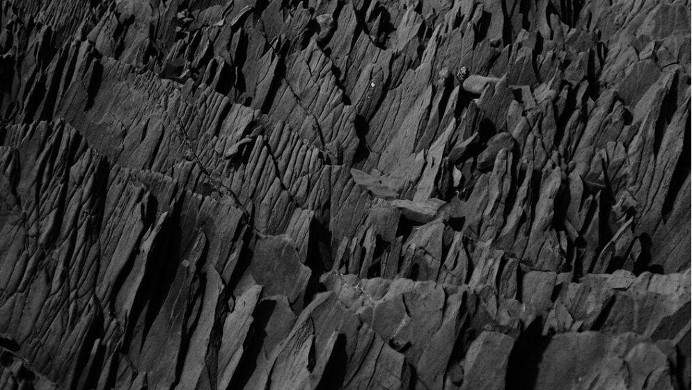 Carbon