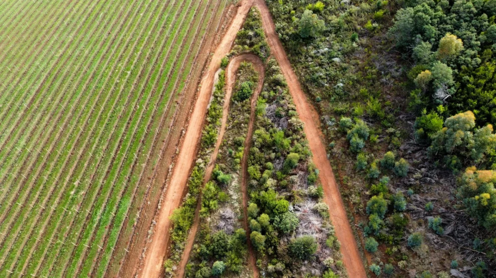 aerial shot of agriculture field