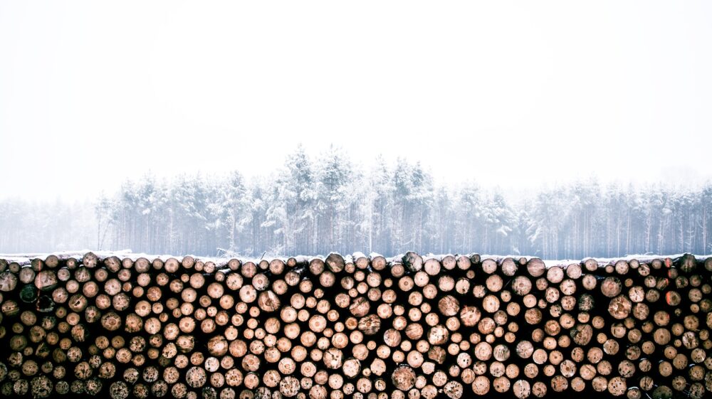 Wood