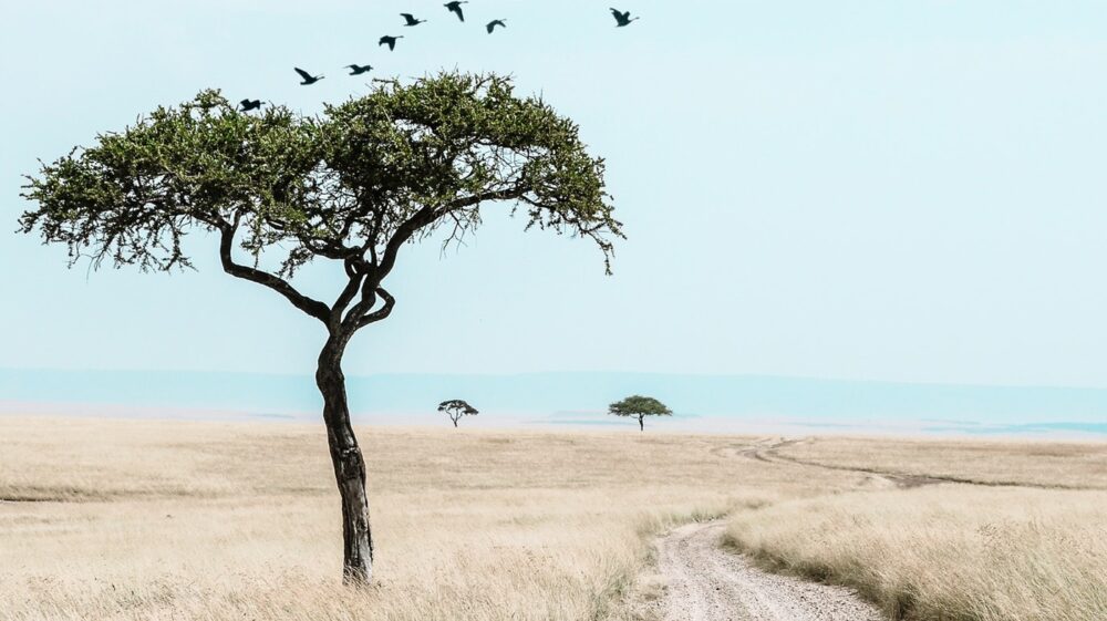 Kenya