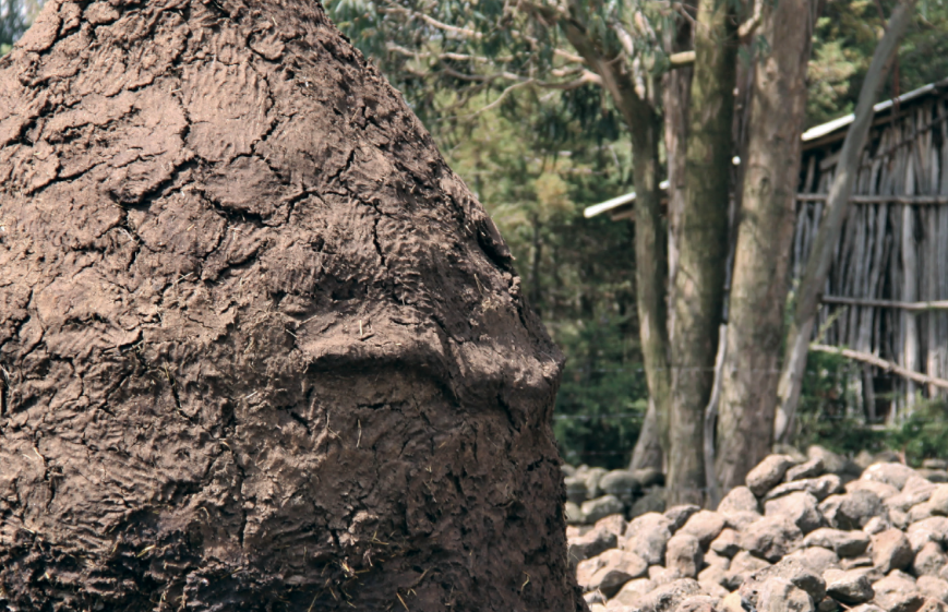 Pile of soil