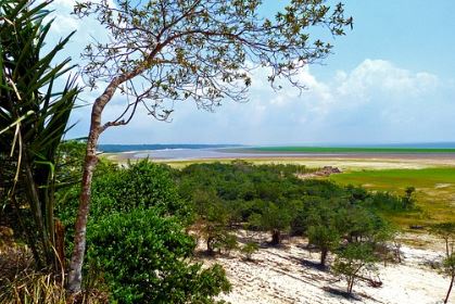 Brazil Amazon