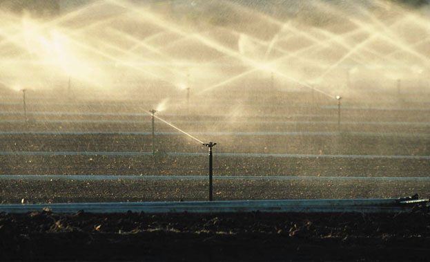 Irrigation in a field
