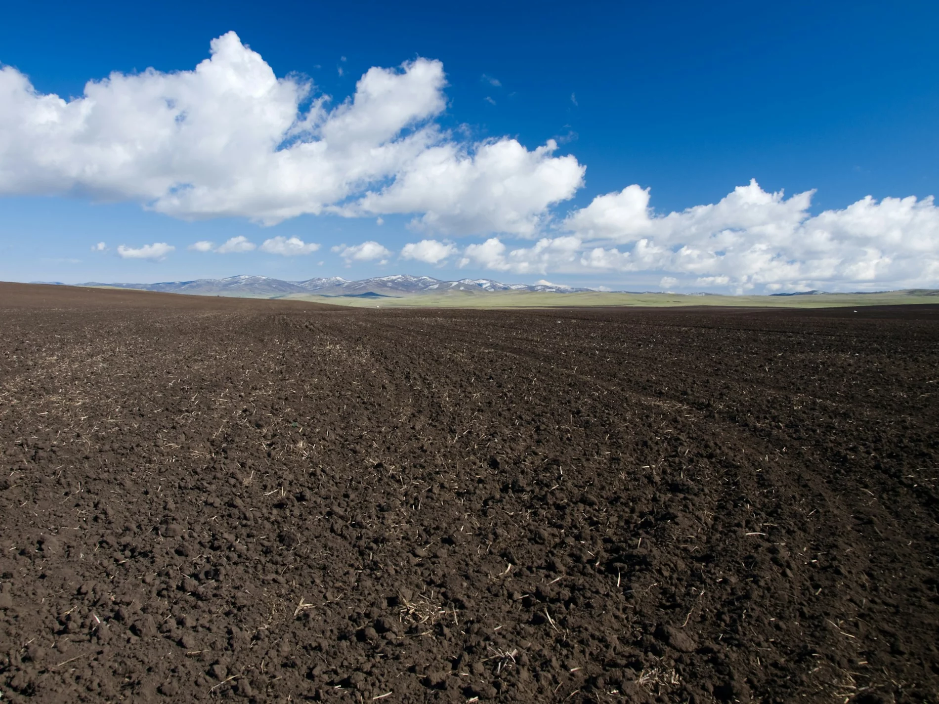 field