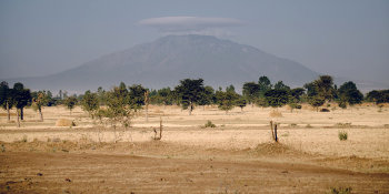 desert landscape