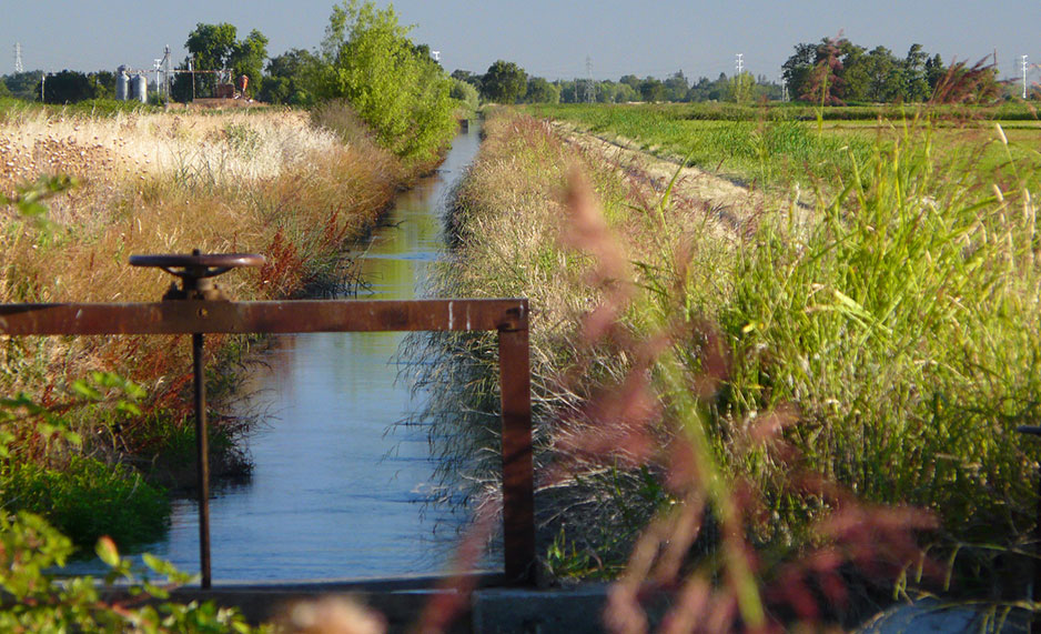 Irrigation ditch