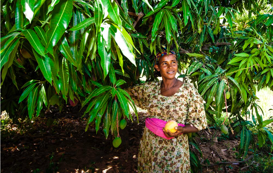 Female farmer in Ethiopia