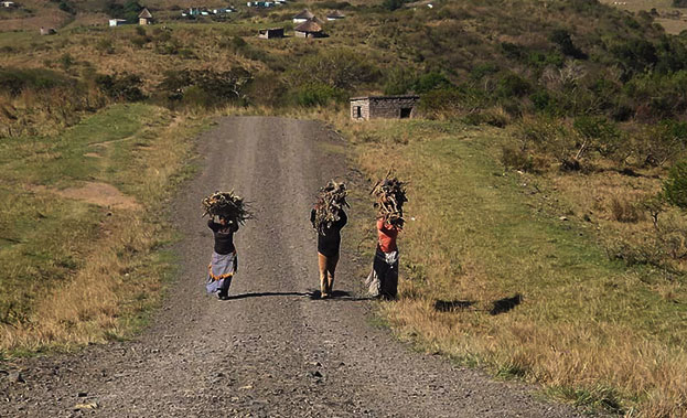 Women carrying firewood