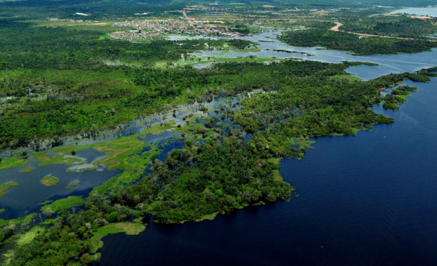 Aerial view of lush land and water