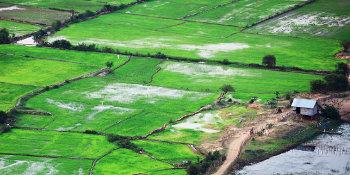 Green field. SEI and UNEP launch a new free Massive Open Online Course (MOOC) at the United Nations Environment Assembly, focused on Southeast Asia.