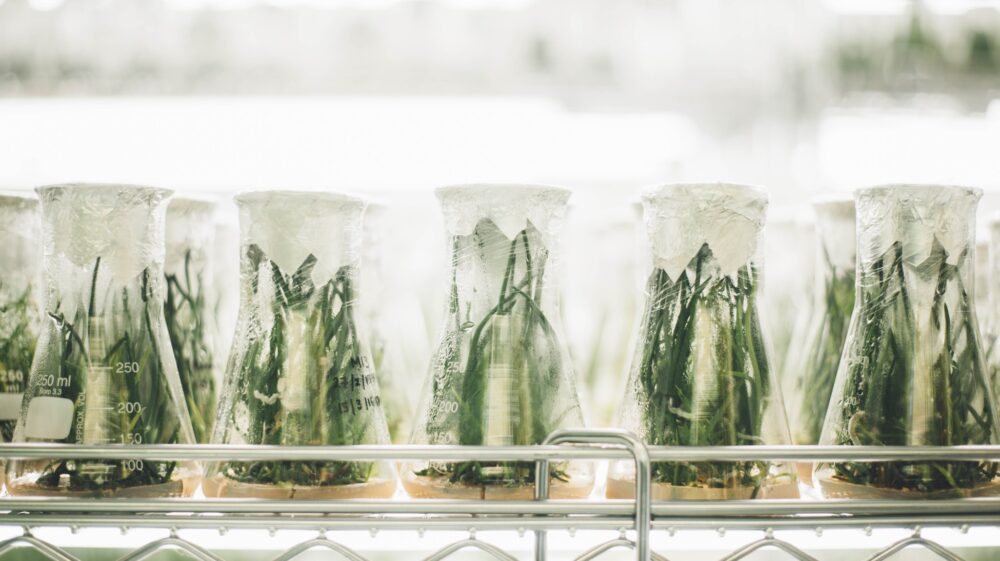 Green science
