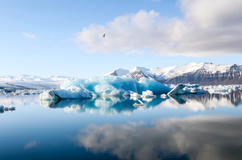 Arctic