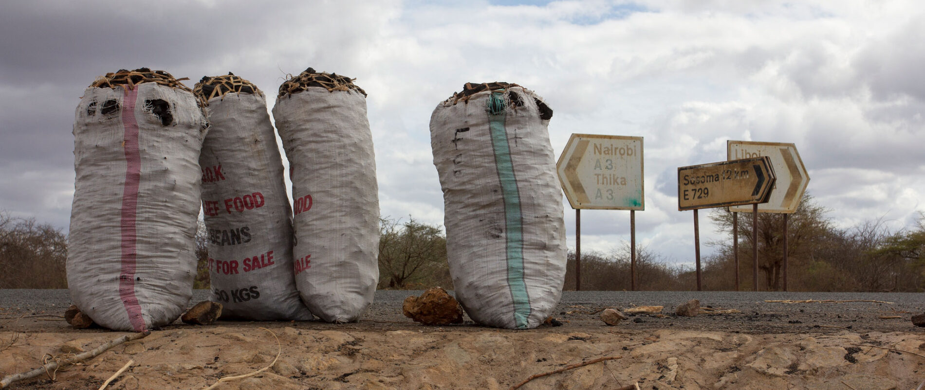 Charcoal for sale on the side of a road in Kenya