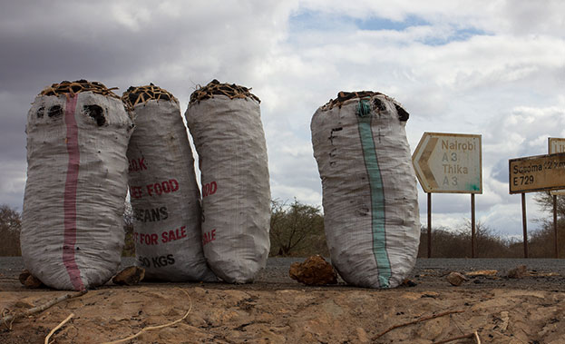 Charcoal for sale on the side of a road in Kenya