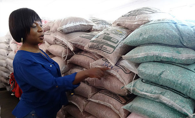 A woman with bags of seed in Zambia
