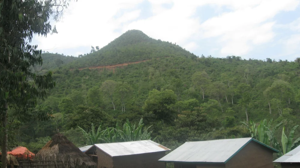 houses and hill in background