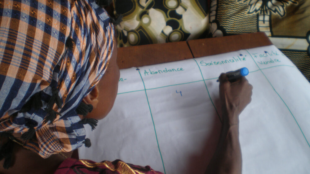 Fieldwork-Cameroon