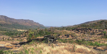 grassy hill