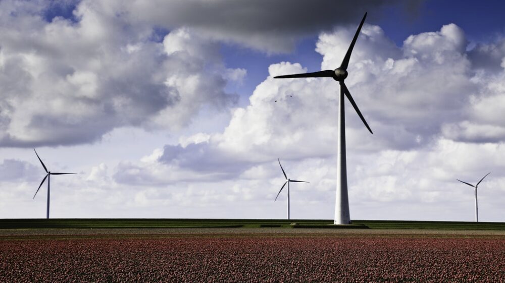Windmills in field