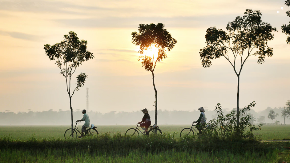 Bicycles