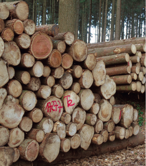 A stack of logs