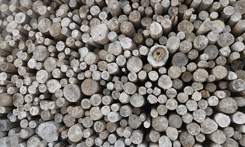 Stacked wood. Photo: SEI