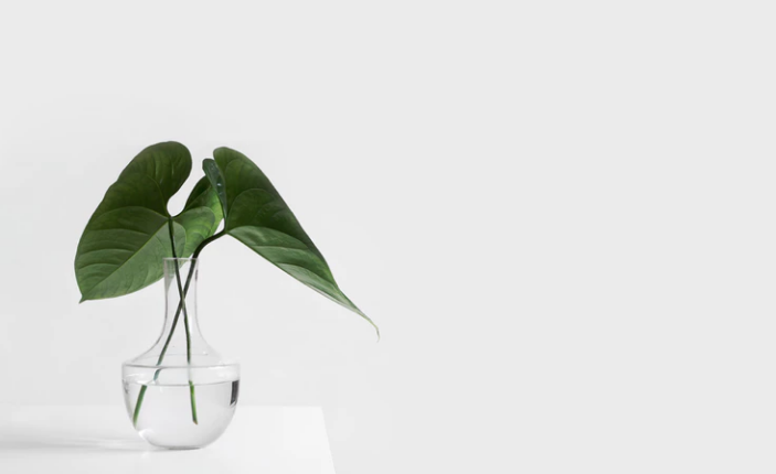 The future design of green