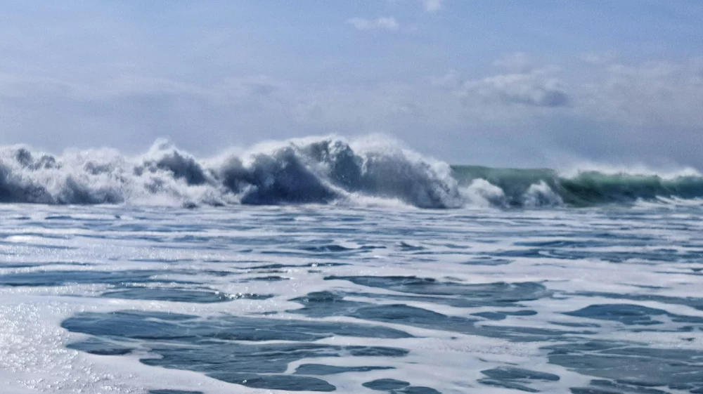 wave