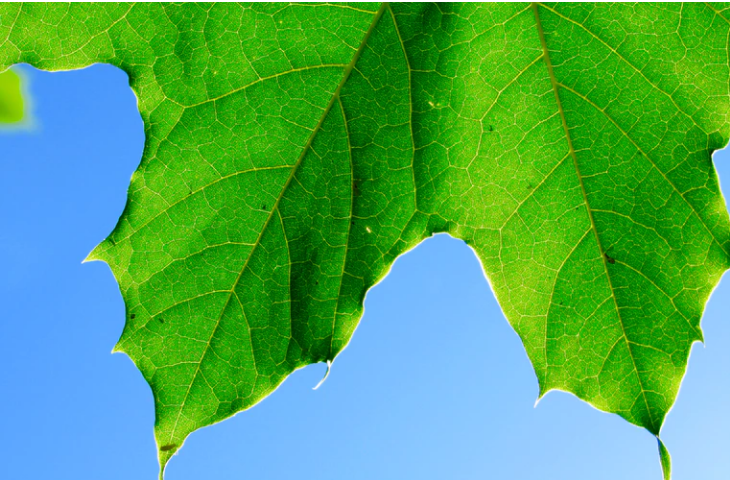Green air