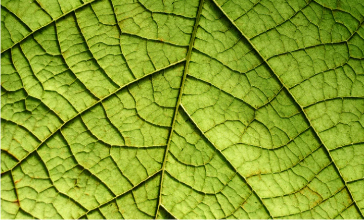 Institutional Complexity
