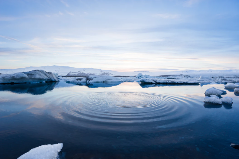 Arctic