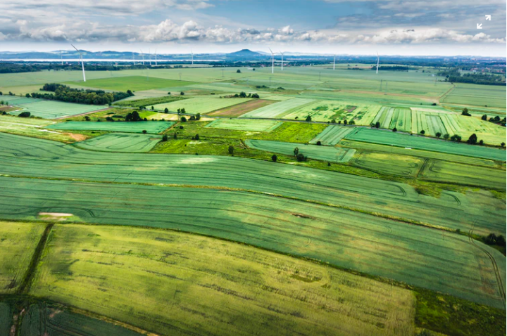 Food, water and energy nexus