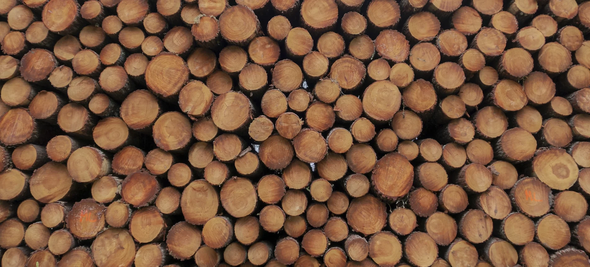 pile of logs