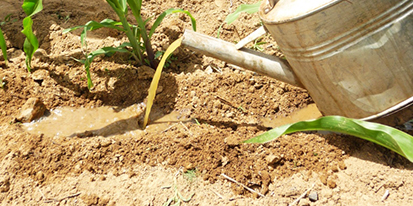 Burkina farmers cite free fertilizer as the top reason why they've kept using sanitation after projects close.
